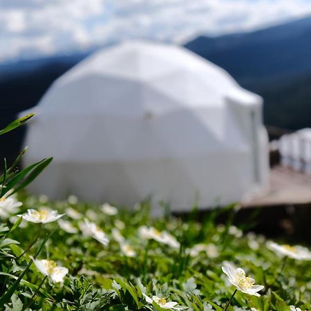 Глемпінг Де Вайб  Hotel Ворохта Екстериор снимка